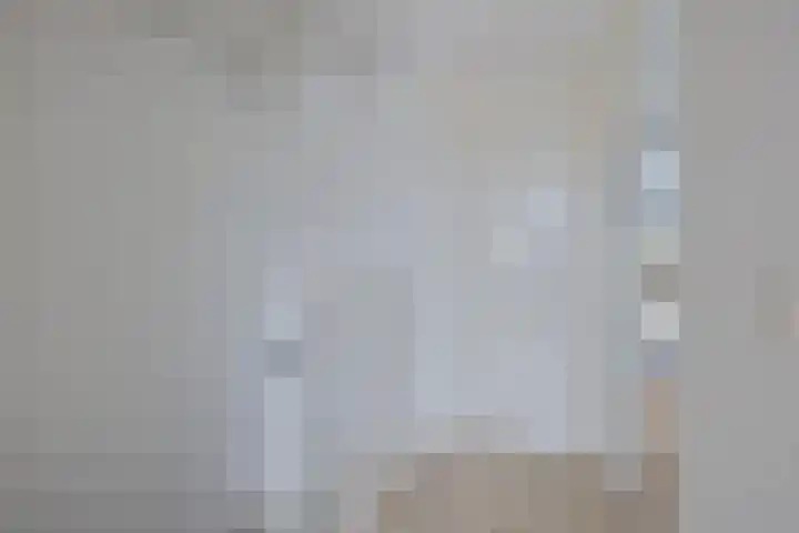 Zilvermos 30 Houten thumbnail 27