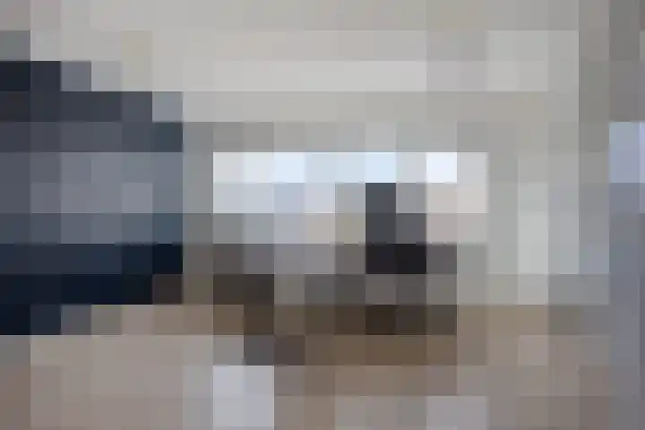 Zilvermos 30 Houten thumbnail 28