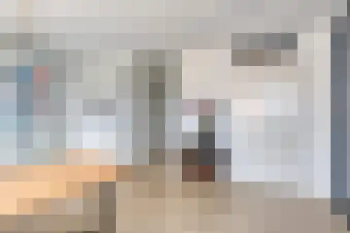 Zilvermos 30 Houten thumbnail 29