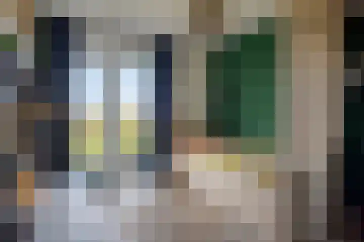 Zilvermos 30 Houten thumbnail 30