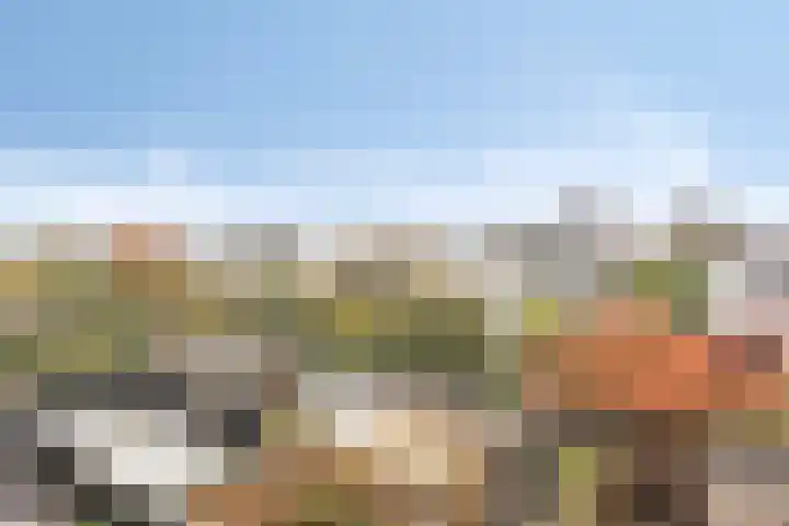 Zilvermos 30 Houten thumbnail 33