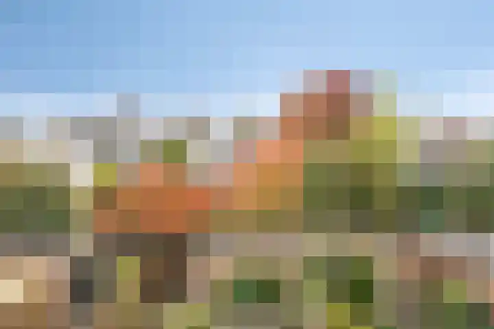 Zilvermos 30 Houten thumbnail 34