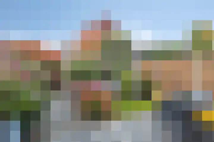 Zilvermos 30 Houten thumbnail 36