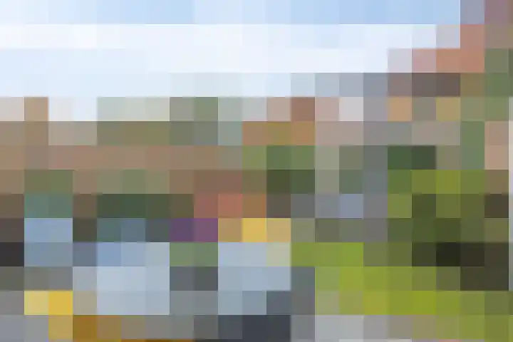Zilvermos 30 Houten thumbnail 37