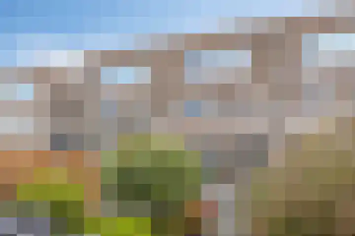 Zilvermos 30 Houten thumbnail 38