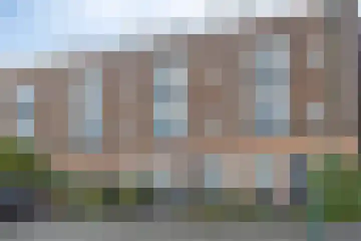Zilvermos 30 Houten thumbnail 39