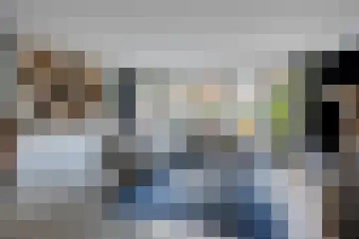 Zilvermos 30 Houten thumbnail 4