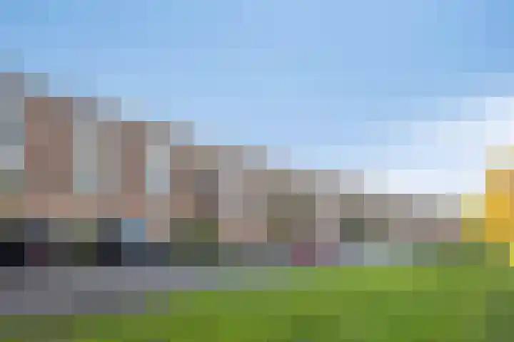 Zilvermos 30 Houten thumbnail 40
