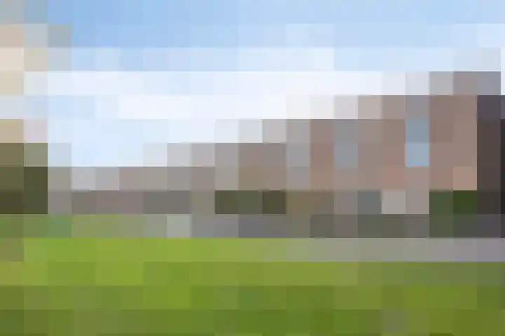 Zilvermos 30 Houten thumbnail 41