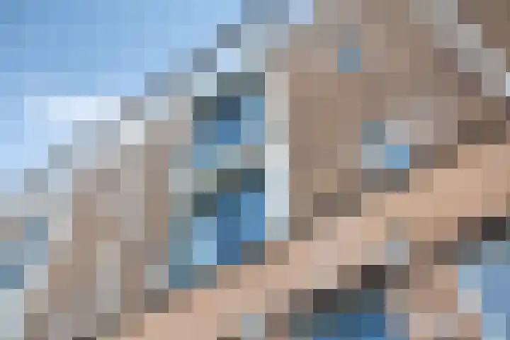 Zilvermos 30 Houten thumbnail 42