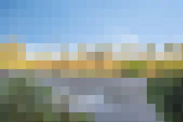 Zilvermos 30 Houten thumbnail 43