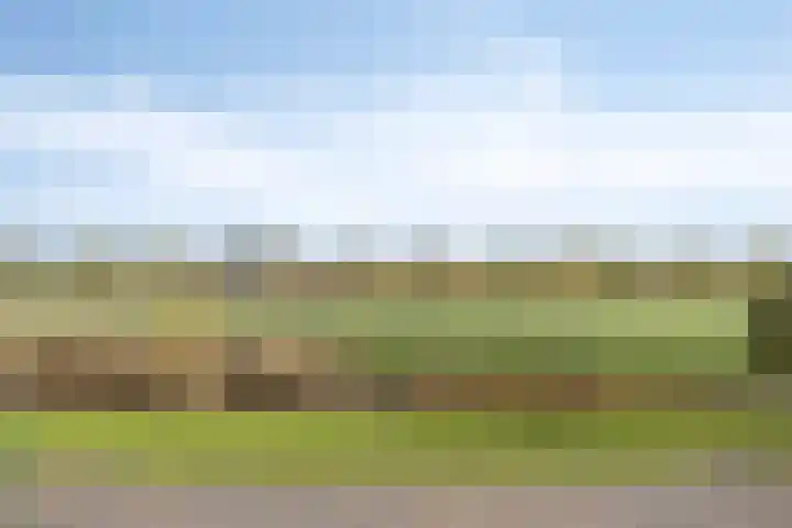 Zilvermos 30 Houten thumbnail 44
