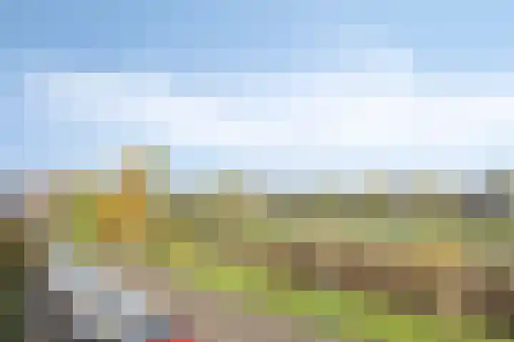 Zilvermos 30 Houten thumbnail 45