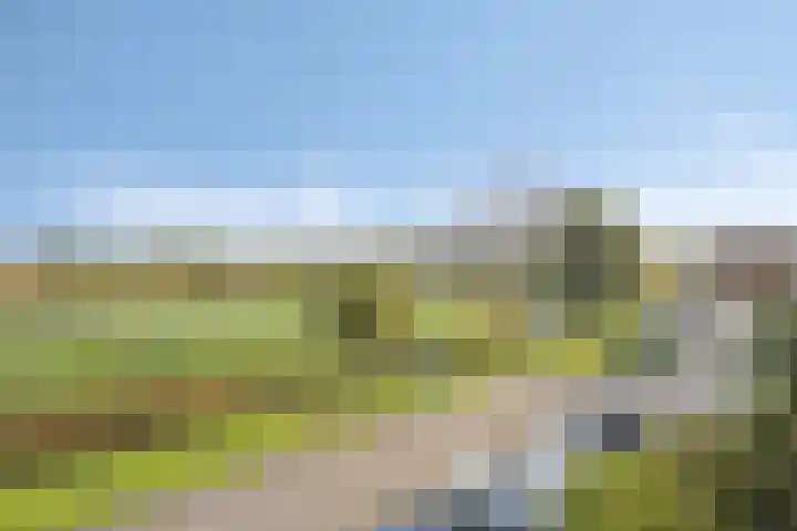 Zilvermos 30 Houten thumbnail 46