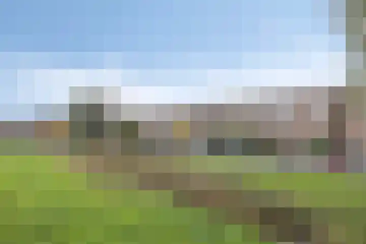 Zilvermos 30 Houten thumbnail 47