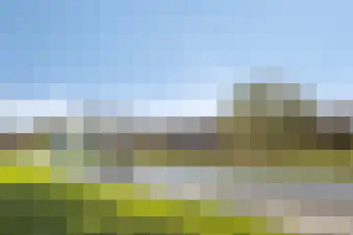 Zilvermos 30 Houten thumbnail 49