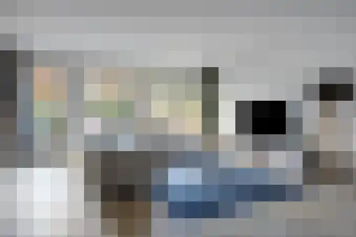 Zilvermos 30 Houten thumbnail 5