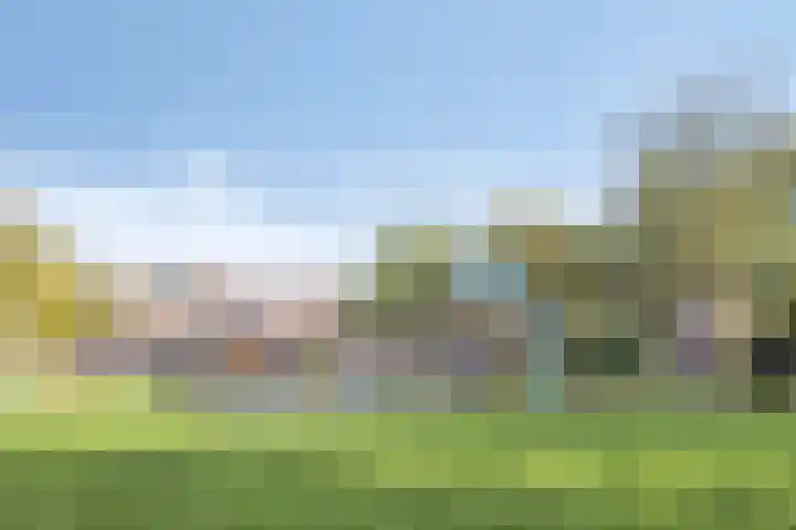 Zilvermos 30 Houten thumbnail 50