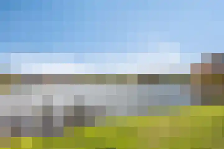Zilvermos 30 Houten thumbnail 51