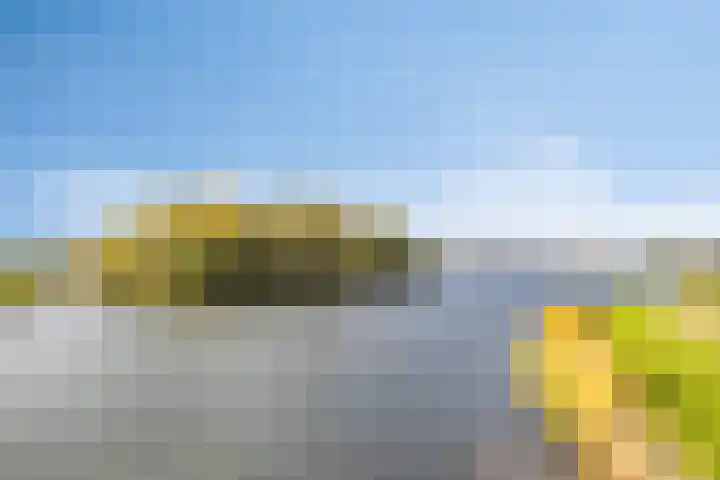 Zilvermos 30 Houten thumbnail 52