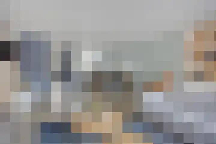 Zilvermos 30 Houten thumbnail 6