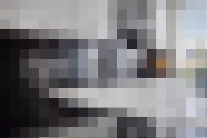 Zilvermos 30 Houten thumbnail 9