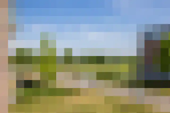 Zilvermos 37 Houten thumbnail 10