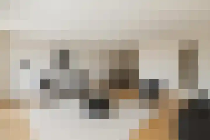 Zilvermos 37 Houten thumbnail 13