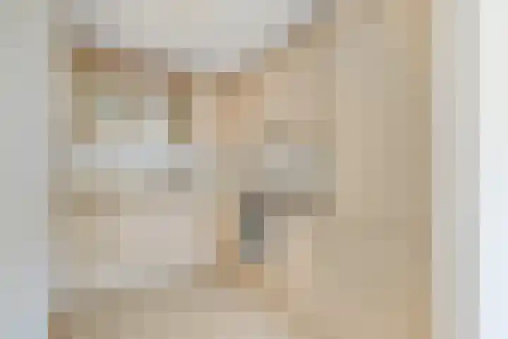 Zilvermos 37 Houten thumbnail 14