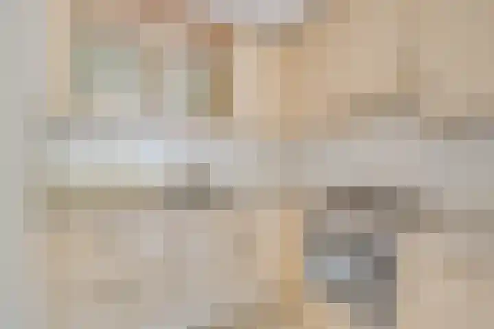 Zilvermos 37 Houten thumbnail 15
