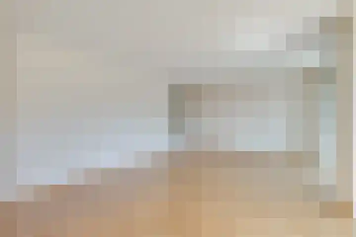 Zilvermos 37 Houten thumbnail 16