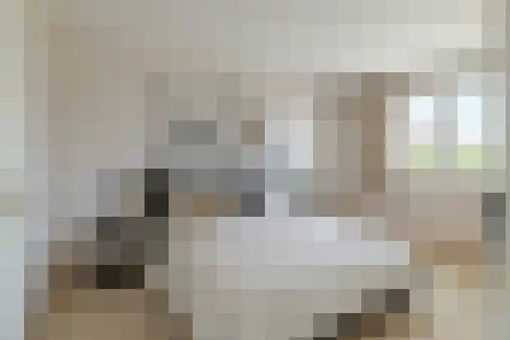 Zilvermos 37 Houten thumbnail 19