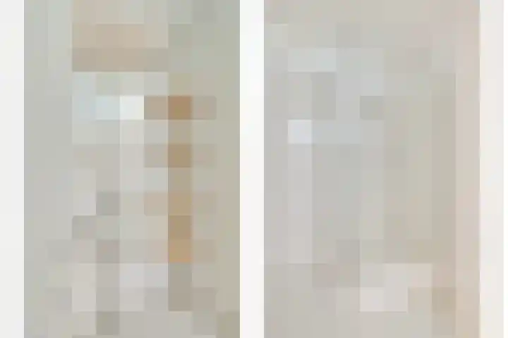 Zilvermos 37 Houten thumbnail 22