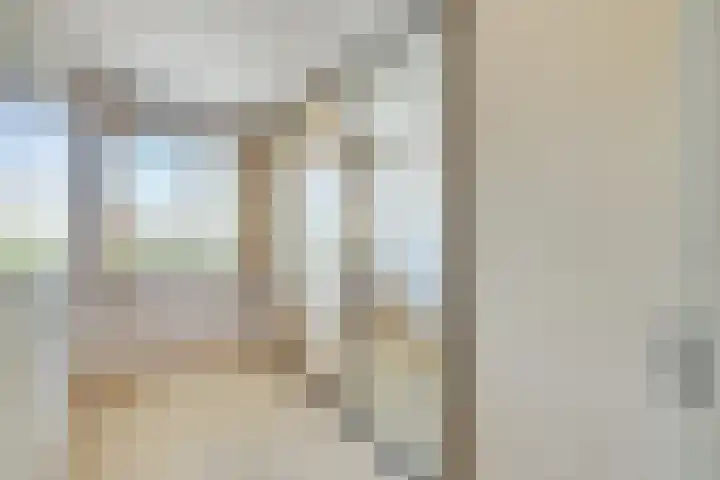 Zilvermos 37 Houten thumbnail 23
