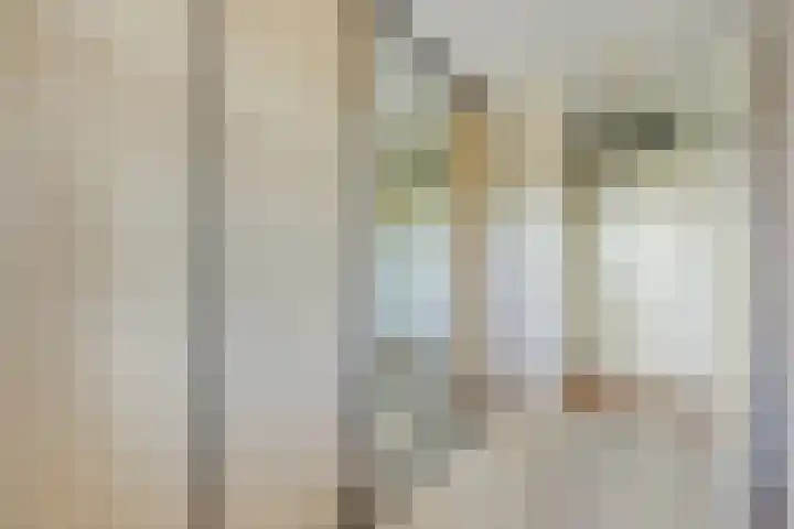 Zilvermos 37 Houten thumbnail 24