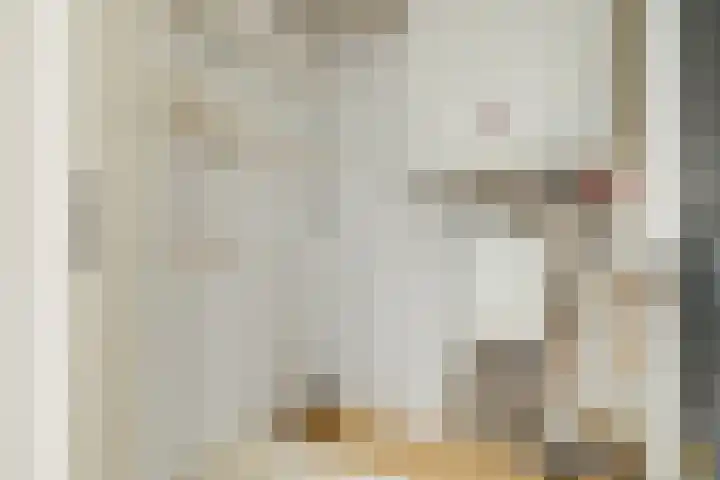 Zilvermos 37 Houten thumbnail 27