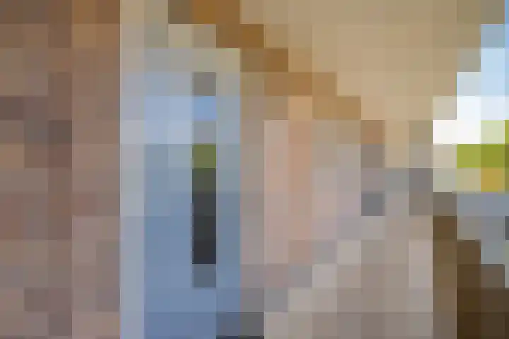 Zilvermos 37 Houten thumbnail 28