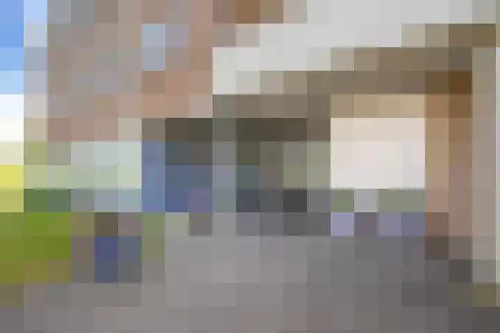 Zilvermos 37 Houten thumbnail 29