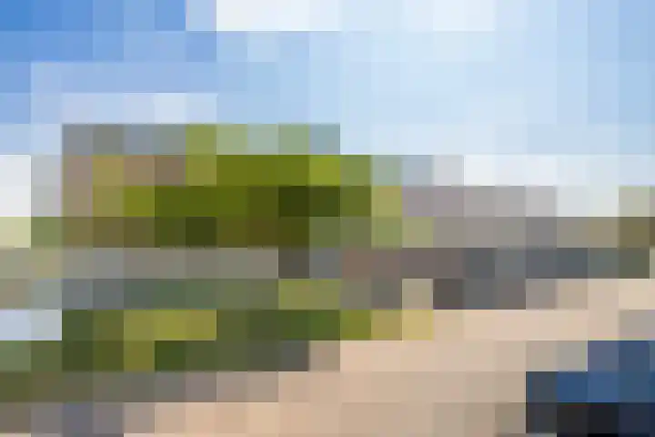 Zilvermos 37 Houten thumbnail 31