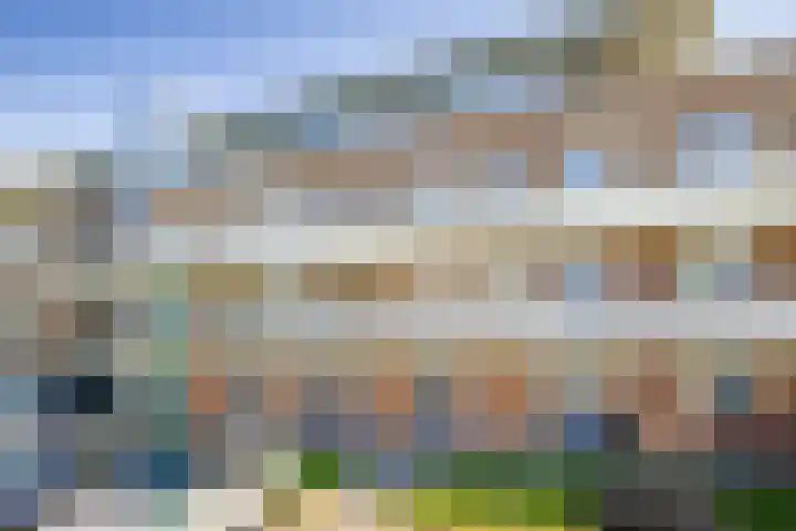 Zilvermos 37 Houten thumbnail 33