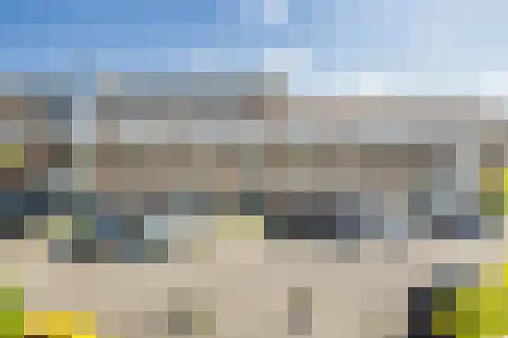Zilvermos 37 Houten thumbnail 34