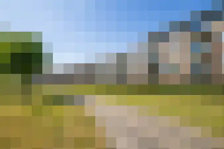 Zilvermos 37 Houten thumbnail 35