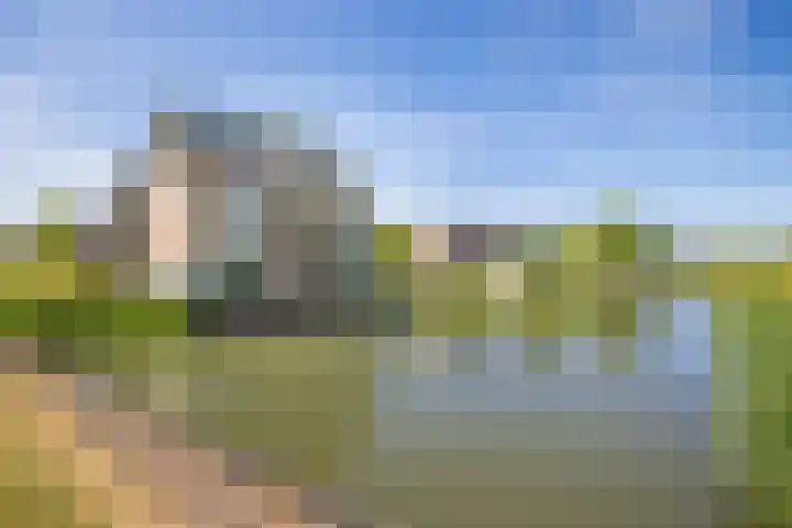 Zilvermos 37 Houten thumbnail 36