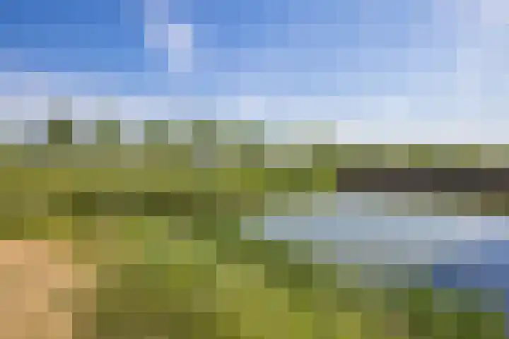 Zilvermos 37 Houten thumbnail 37