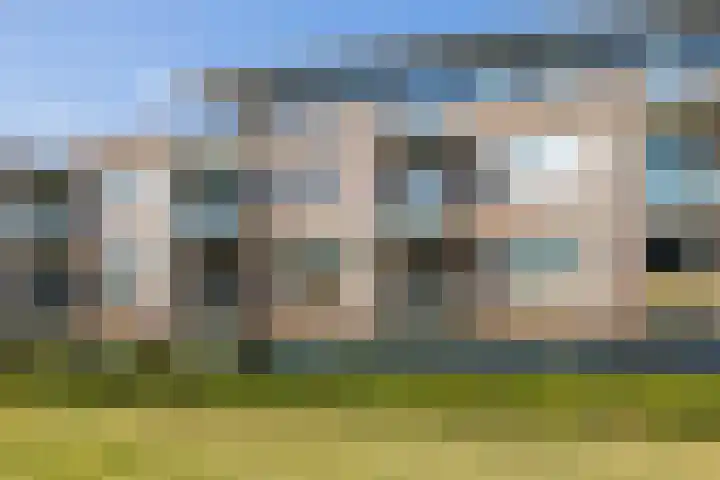 Zilvermos 37 Houten thumbnail 39