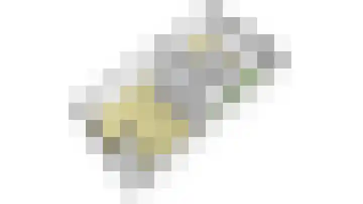 Zilvermos 37 Houten thumbnail 43