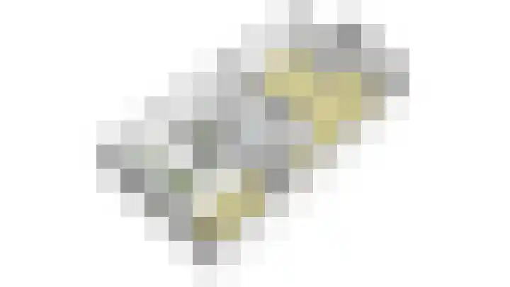 Zilvermos 37 Houten thumbnail 44