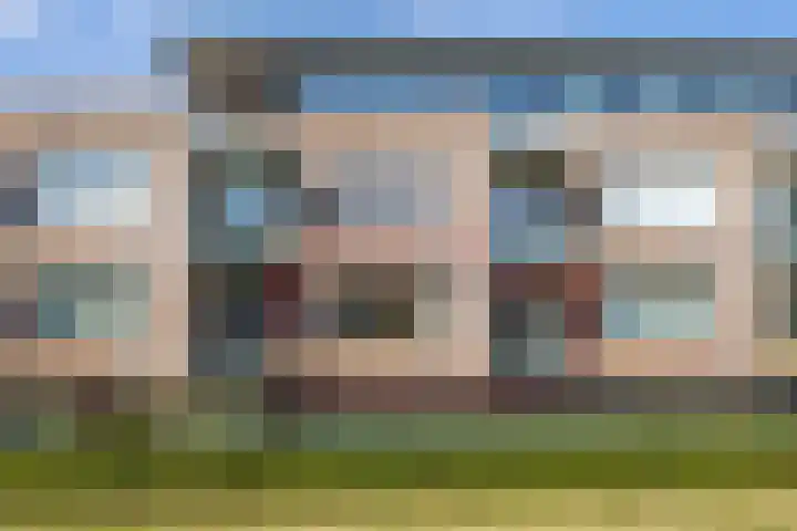 Zilvermos 37 Houten thumbnail 46