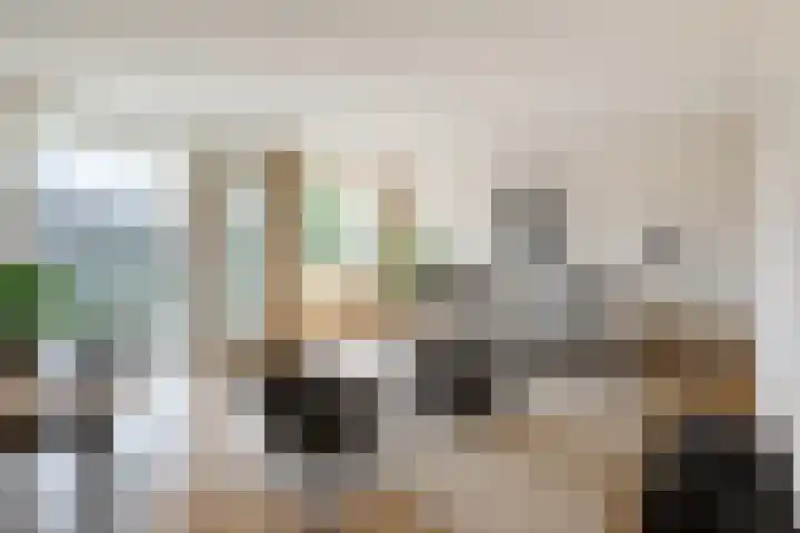 Zilvermos 37 Houten thumbnail 5