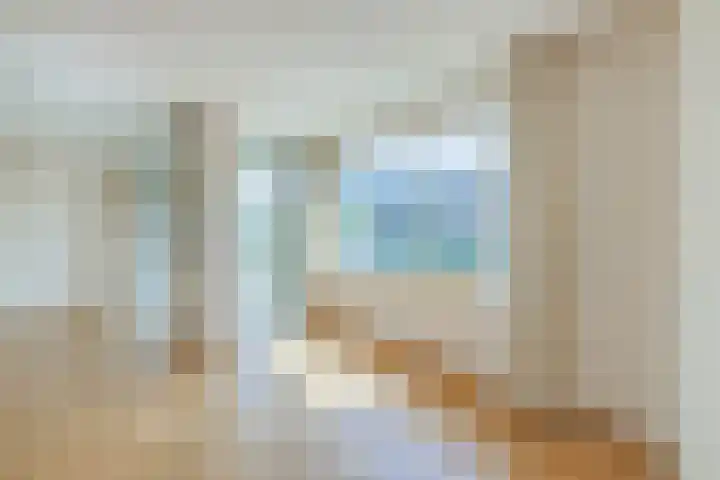 Zilvermos 37 Houten thumbnail 6